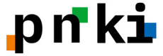Logo des Studiengangs PNKI